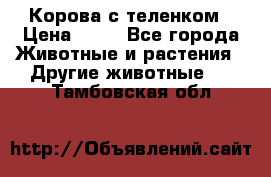 Корова с теленком › Цена ­ 69 - Все города Животные и растения » Другие животные   . Тамбовская обл.